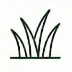 Lawn Care & Turf Management