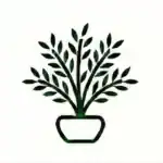 Planting & Landscape Installs