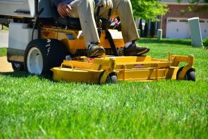 Landscaping Company - Lawn Mowing Service